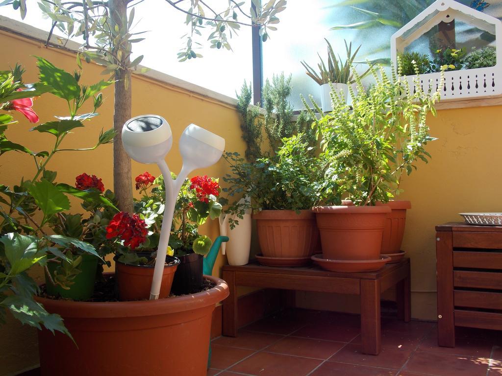 B&B Dei Cavalieri Піза Екстер'єр фото